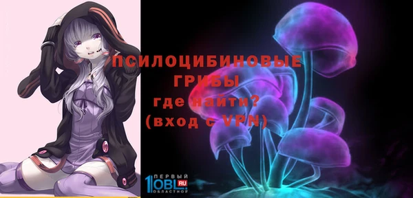ПСИЛОЦИБИНОВЫЕ ГРИБЫ Абдулино