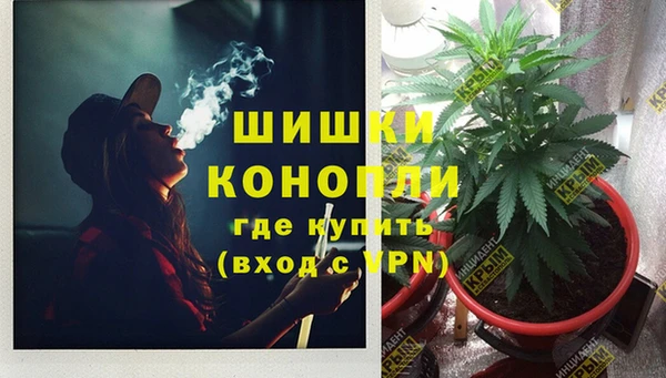ПСИЛОЦИБИНОВЫЕ ГРИБЫ Абдулино