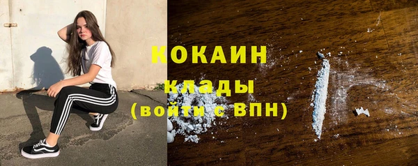 ПСИЛОЦИБИНОВЫЕ ГРИБЫ Абдулино