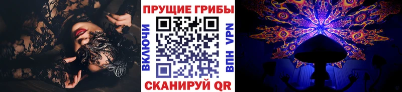 Псилоцибиновые грибы Cubensis  Южноуральск 